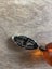 $1 reserve Lot of vintage jewellery. amber, Austrian citrine and carnelian. Carousel 10