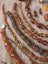 $1 reserve Lot of vintage jewellery. amber, Austrian citrine and carnelian. Carousel 14
