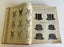 Anthony Hordern's 1911 catalogue Carousel 6