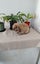 Rabbits Carousel 3