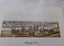 New Zealand Illustrated First Edition 1889 By A.D.Willis, Wanganui, New Zealand Carousel 9