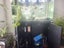 fish tank Carousel 3
