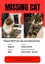 Lost tabby cat Carousel 1