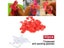 60 Pieces Pinless Chicken Hen Rooster Anti-Pecking Eyes Glasses With Bolt Carousel 3