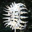 Magical Metal Windmill 3D Wind Spinner Kinetic Sculpture Carousel 5