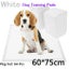 NEW NEW Dog Training Pads - NEW *IN STOCK* Carousel 1