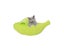 Hollypet Cute Banana Cat Bed House Soft Pet Supplies-Green Carousel 1