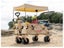 Mighty Carts Safari Beach Cart with Awning Carousel 16