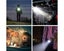 UV Torch Light Flashlight Cat Toy Carousel 5