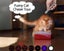 UV Torch Light Flashlight Cat Toy Carousel 6