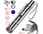 UV Torch Light Flashlight Cat Toy Carousel 1