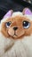 Misfittens Get Meowt assorted Carousel 10