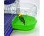 Pet Bird Parrot Transparent Bathing Tub Bathtub Shower Box Hanging Cage Decor Carousel 6