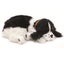 Perfect Petzzz - Cocker Spaniel Bundle Carousel 1