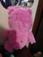 Cheer bear Carebears Carousel 2