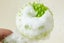 2 In1 Dog Bath Brush With Shampoo Dispenser Dog Shampoo Brush Bubble Maker-Green Carousel 5
