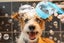 2 In 1 Dog Bath Brush With Shampoo Dispenser Dog Shampoo Brush Bubble Maker-Blue Carousel 8