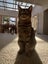 Myrtle the Cat Carousel 1