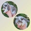 Mini Lop Rabbits Carousel 2