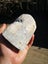 $1 reserve Pounamu greenstone carving block 2.1 kg Carousel 7