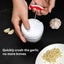 Hand Pulled Garlic Grinder in the Kitchen Palm Multi Functional Food Garlic G... Carousel 5