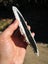 $1 reserve Pounamu greenstone carving slab Carousel 7