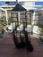 Playboy bed canopy net Carousel 3