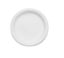 Paper Plate 7" 25pc Carousel 1