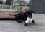 Miniature Dachshund Puppy Carousel 9