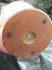 Repogle 9inch World Classic Globe Carousel 9