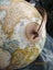 Repogle 9inch World Classic Globe Carousel 11