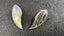 Paid of Sterling Silver & Paua New Zealand Clip on Earrings by Ariki - Lot E744 Carousel 1