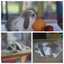very cute Pure Bred mini Lops Carousel 11