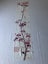 Vintage Japanese Decorative Silk Fabric Piece Old Kimono Panel Carousel 4