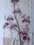 Vintage Japanese Decorative Silk Fabric Piece Old Kimono Panel Carousel 1