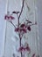 Vintage Japanese Decorative Silk Fabric Piece Old Kimono Panel Carousel 6