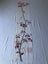 Vintage Japanese Decorative Silk Fabric Piece Old Kimono Panel Carousel 12