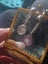 PARDON? YES ITS RIGHT $1res These are thee MOST DIVINE ART DECO INSP EARRINGS Carousel 5