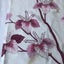 Vintage Japanese Decorative Silk Fabric Piece Old Kimono Panel Carousel 15