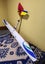 Radian glider Carousel 1