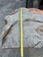 2.1m × 0.8m Ancient Swamp Kauri Slab – Bartop / Hall Table Carousel 12