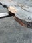 2.1m × 0.8m Ancient Swamp Kauri Slab – Bartop / Hall Table Carousel 8