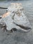 2.1m × 0.8m Ancient Swamp Kauri Slab – Bartop / Hall Table Carousel 10
