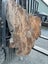 2.1m × 0.8m Ancient Swamp Kauri Slab – Bartop / Hall Table Carousel 4