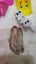 Shopkins Assorted Toys Carousel 7