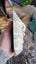 Greenstone slab Carousel 2