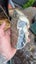 Greenstone slab Carousel 3