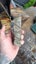 Greenstone slab Carousel 4