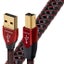 AUDIOQUEST Cinnamon USB A to B Carousel 1