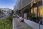 gallery view thumbnail